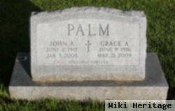 John A Palm