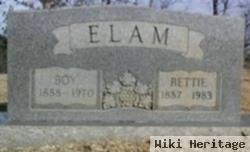 Bettie Anne Mills Elam