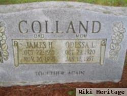 Odessa L Colland