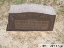 Andrew Alexander Whitfield