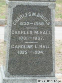 Charles M. Briggs