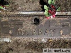 Mary A Murray