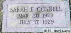 Sarah E Gosnell