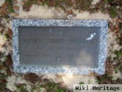 Robert Louis Hubbard