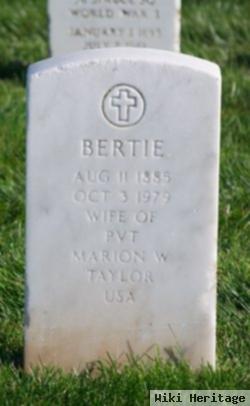 Bertie Taylor