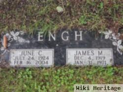 James Engh