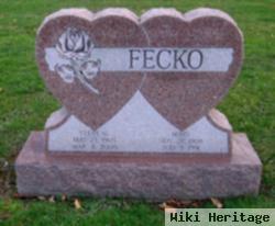 Steve G. Fecko