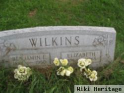 Anna Elizabeth "elizabeth" Rogers Wilkins