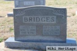 Lucy Elizabeth Dobbins Bridges