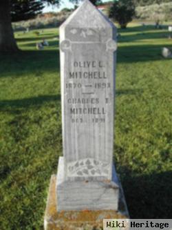 Olive L Mitchell