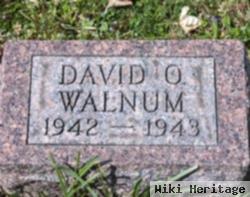 David Owen Walnum