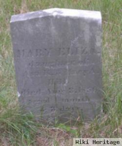 Mary Eliza Hill