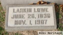 Larkin Lowe