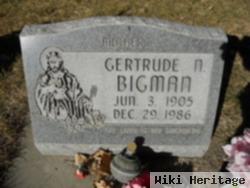 Gertrude N. Bigman