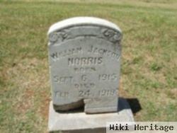 William Jackson Norris