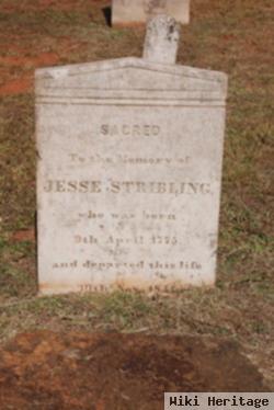 Jesse Stribling