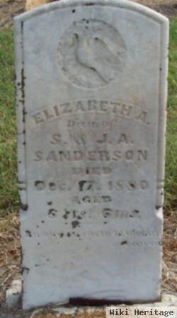 Elizabeth A Sanderson