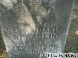 Bud D. Spradlin