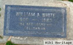 William A White