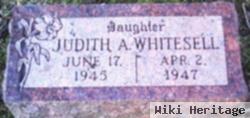 Judith A Whitesell