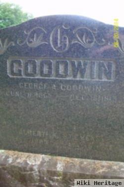 George A Goodwin