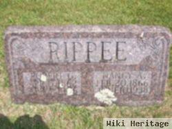 Nancy Ann Newton Rippee