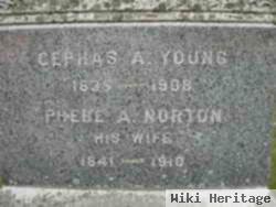 Cephas A. Young