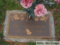 Ione Elizabeth Perry Watson