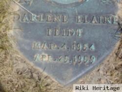 Darlene Elaine Feidt