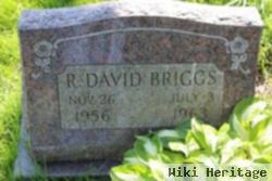 R David Briggs