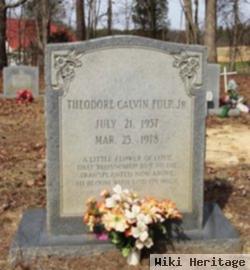 Theodore Calvin Fulp, Jr