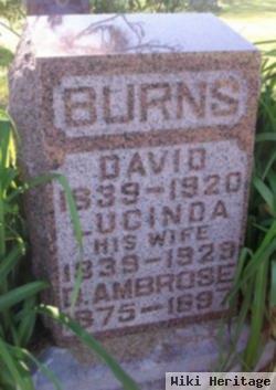 David Ambrose Burns