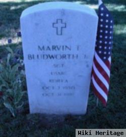 Marvin T Bludworth, Jr