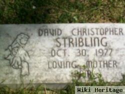 David Christopher Stribling