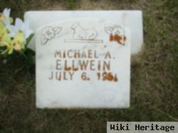 Michael A. Ellwein