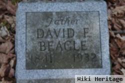 David Beagle