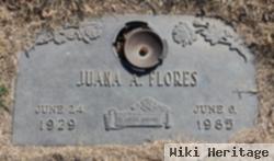 Mrs Juana Alvillar Flores