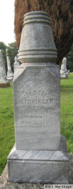 Jessie Strickler