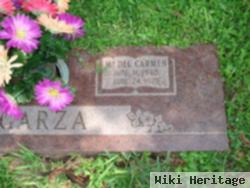 Maria Del Carmen Garcia Garza