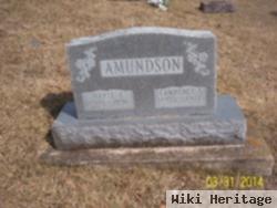 Lawrence S Amundson