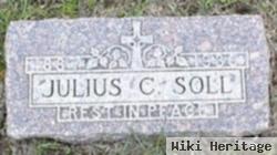 Julius Carl Soll