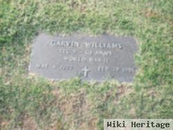 Garvin Williams