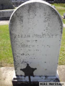 Sarah Higgins Prescott Flint