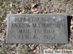 Robert J Thompson