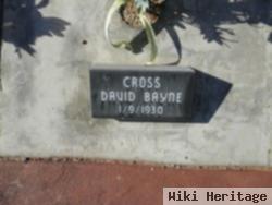 David Bayne Cross