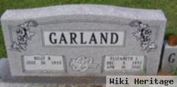 Elizabeth L. Garland