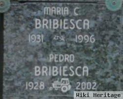Pedro Bribiesca