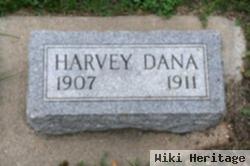 Harvey J Dana