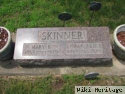 Mary B. Skinner