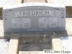 Meta Frida Olga Klaehn Friedrich